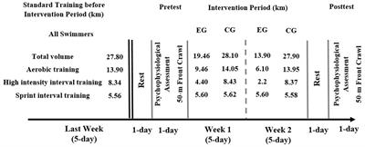 Optimizing performance and mood state in competitive swimmers through tapering strategies